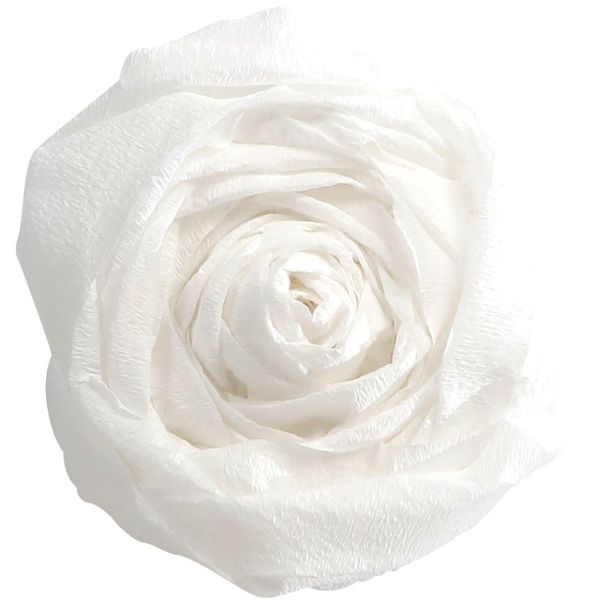 Hovedbilde Kreppapir– hvit 