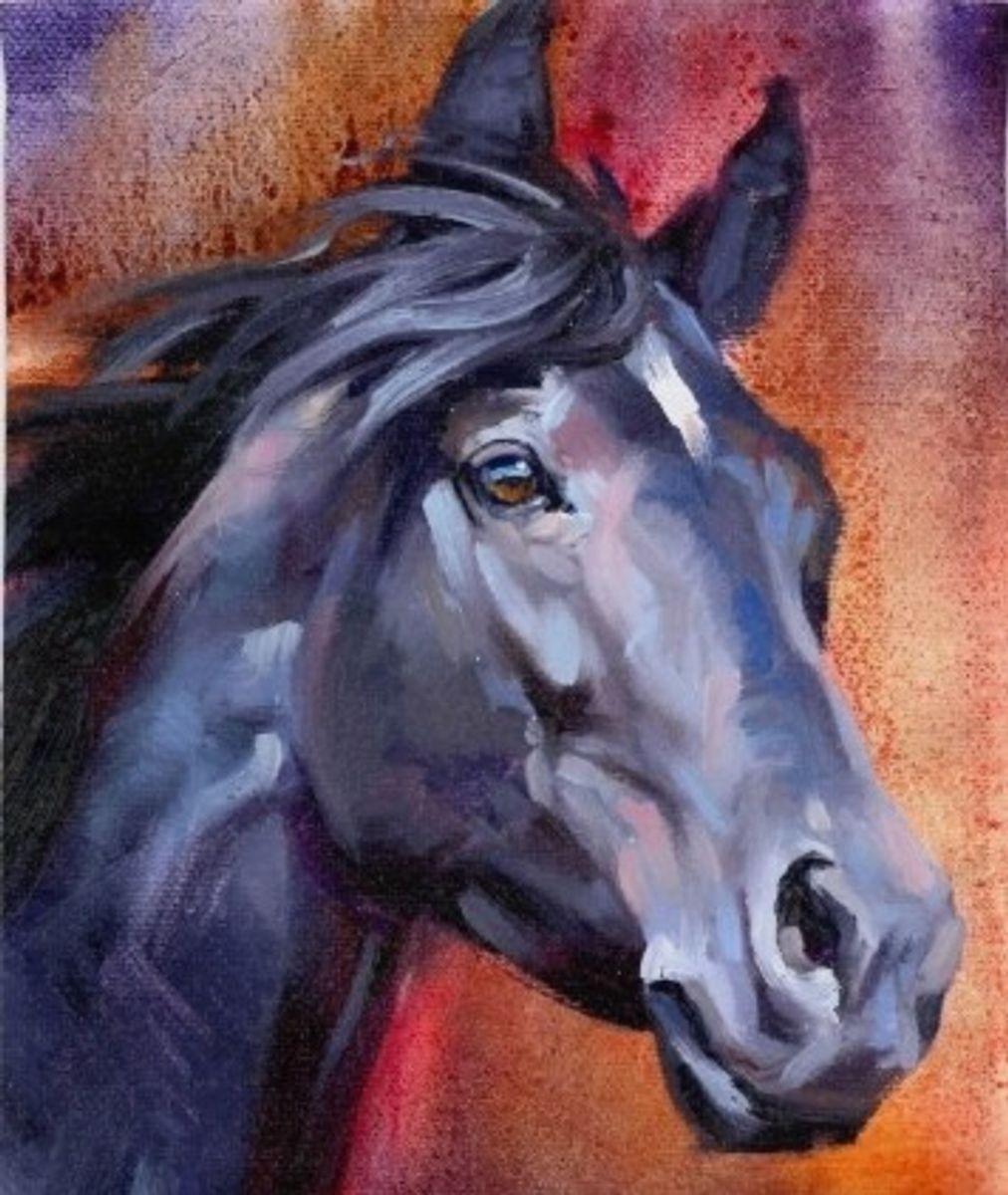 Svart hest, 25 x 25 cm